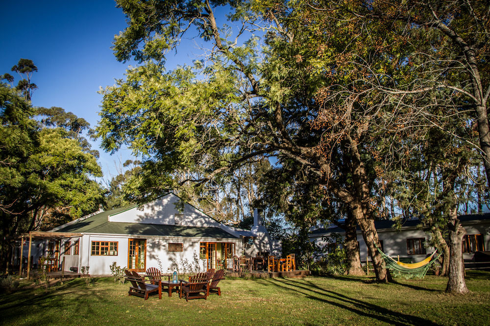 Addo African Home Bagian luar foto