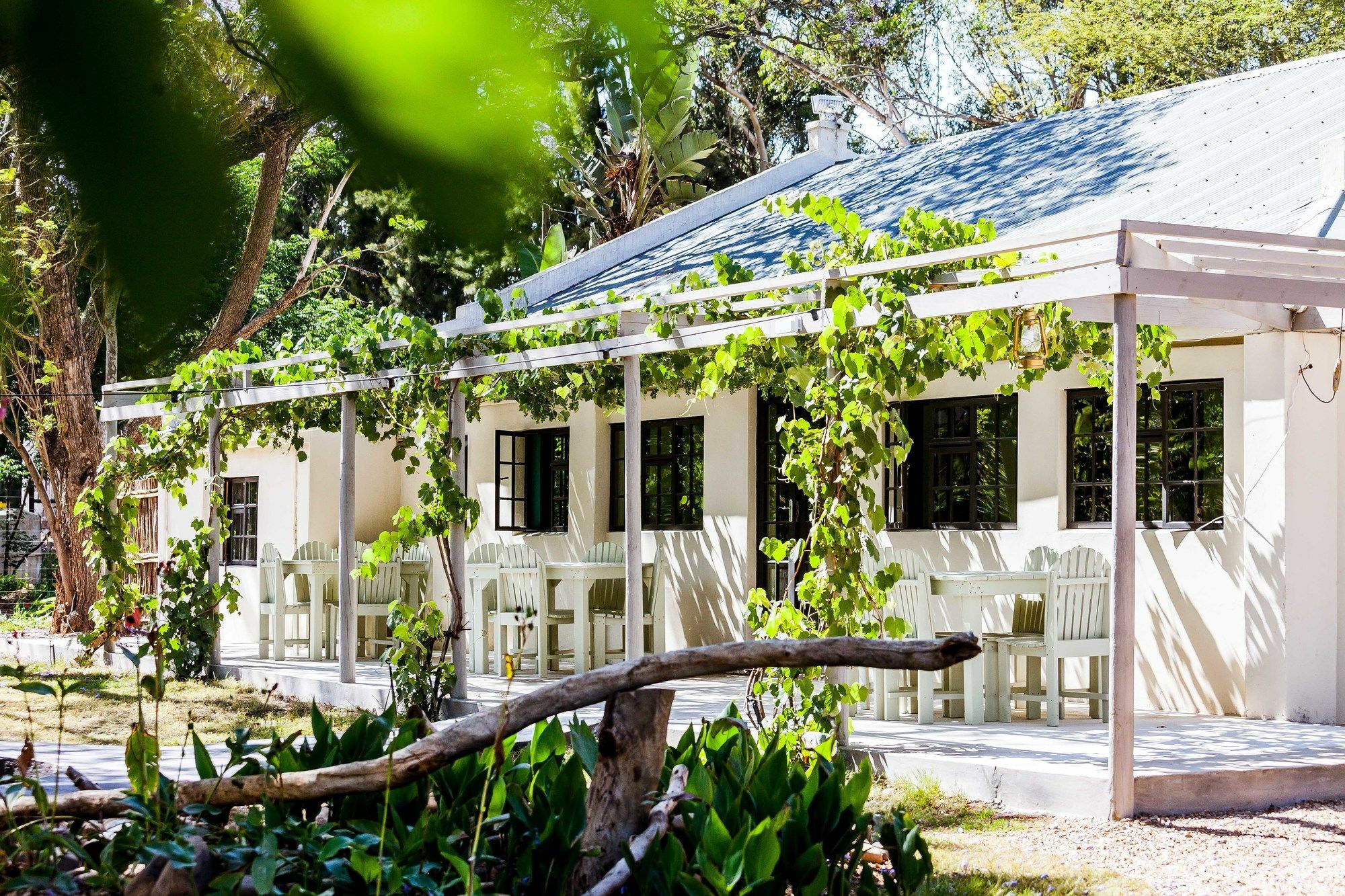 Addo African Home Bagian luar foto