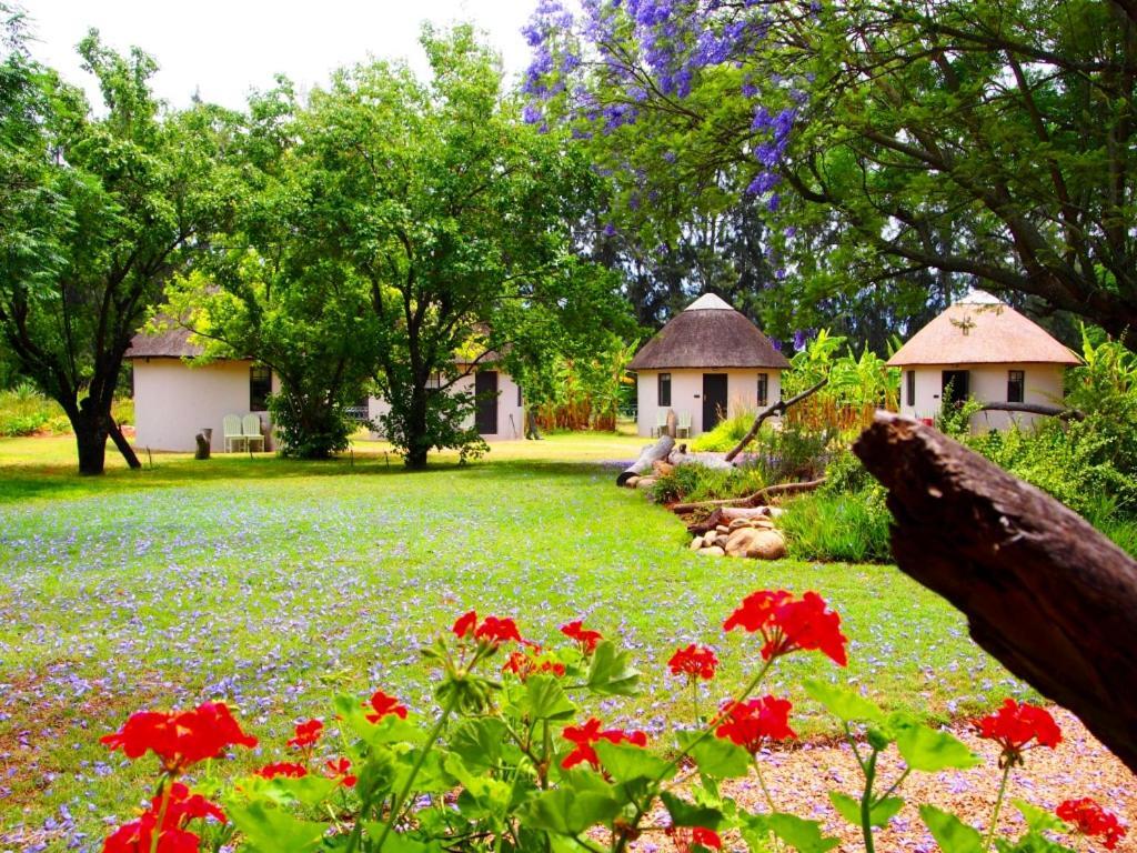 Addo African Home Bagian luar foto